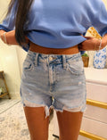 Light Wash Stretch Denim Short